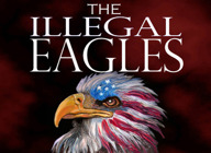 The Illegal Eagles artist photo