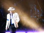 A Tribute to Michael Jackson artist photo