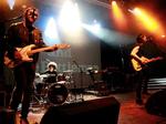 Catfish And The Bottlemen artist photo