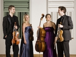 Piatti String Quartet artist photo