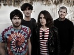 Pulled Apart By Horses artist photo