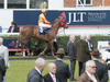Newbury Racecourse photo