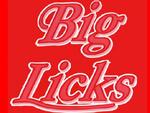 Big Licks artist photo