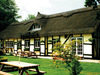 The Old Thatch photo