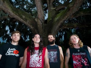 Baroness artist photo