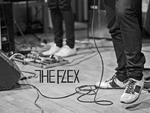 The Flex artist photo