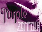 Purple Zeppelin artist photo