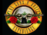 The Guns N Roses Experience artist photo