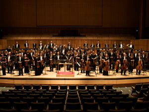 Royal Philharmonic Orchestra (RPO) artist photo