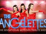 The Angelettes - The Sensational Motown Tribute Show artist photo