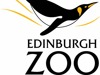 Edinburgh Zoo photo