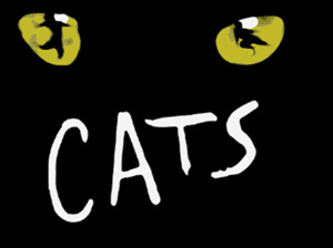 Cats - The Musical artist photo