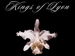 Kings Of Lyon event picture