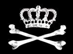 The Speed Kings artist photo