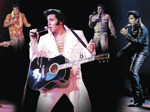 The Elvis Years artist photo