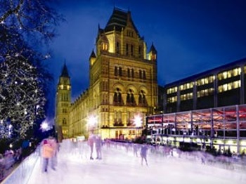 Natural History Museum Ice Rink & Christmas Fair picture