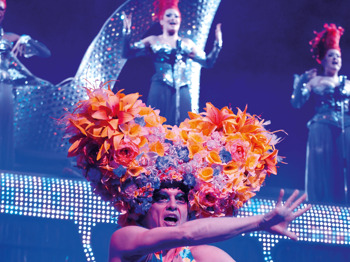 Priscilla Queen Of The Desert - The Musical (Touring) picture