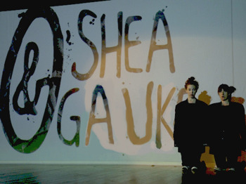 A Comedy Of Careers: O’Shea & O’Gaukroger picture