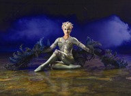 Cirque Du Soleil artist photo