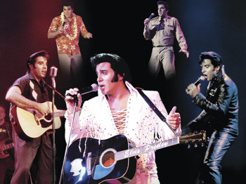 The Elvis Years picture