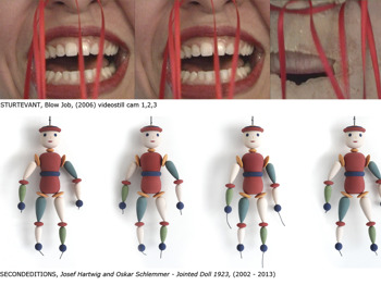 Second Reflection / Symmetrical Contents Sturtevant And Secondeditions picture