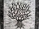 Pine For Cedars artist photo