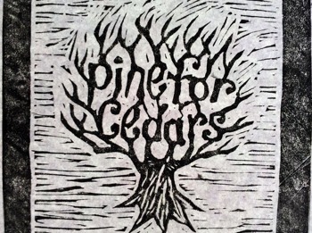 Pine For Cedars + Neuschlaufen + Ted and Liam picture