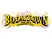 Boomtown Fair event picture