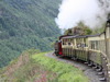 Vale of Rheidol Railway photo