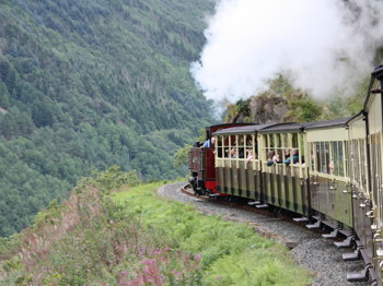 Vale of Rheidol Railway venue photo