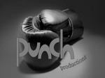 Punch Productions artist photo