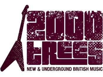 2000trees Festival picture