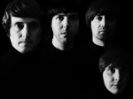 All You Need Is The Beatles artist photo