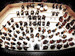 Glagolitic Mass: Philharmonia Orchestra, Bristol Choral Society event picture