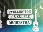 The Wellington International Ukulele Orchestra artist photo