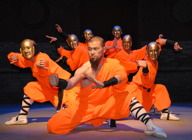 Shaolin Warriors artist photo