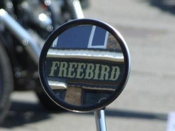 Freebird Freehouse venue photo