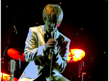 Absolute Bowie picture