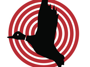 Flying Duck artist photo