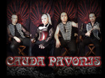 Cauda Pavonis artist photo