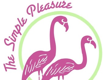 The Simple Pleasure artist photo