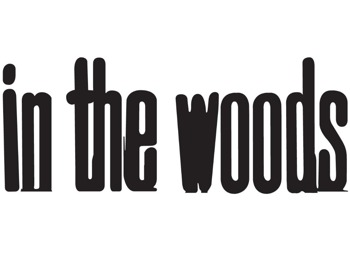In The Woods Festival picture