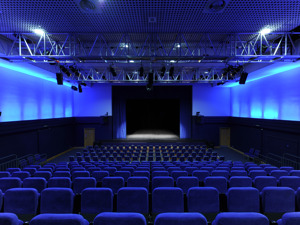 The Radlett Centre artist photo