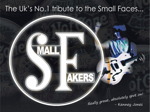 The Small Fakers artist photo