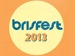 BrisFest 2013 event picture