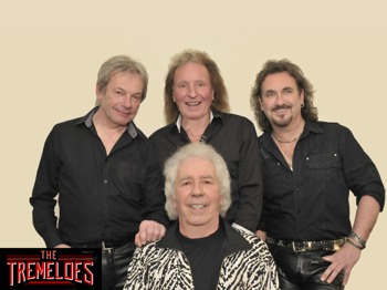 The Tremeloes artist photo