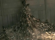 World War Z artist photo