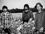 dB Band artist photo