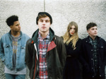Superfood artist photo