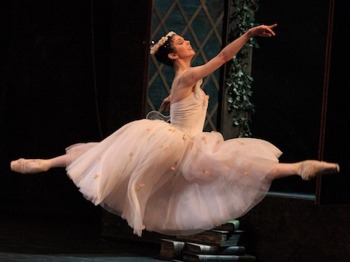 The Bolshoi Ballet artist photo